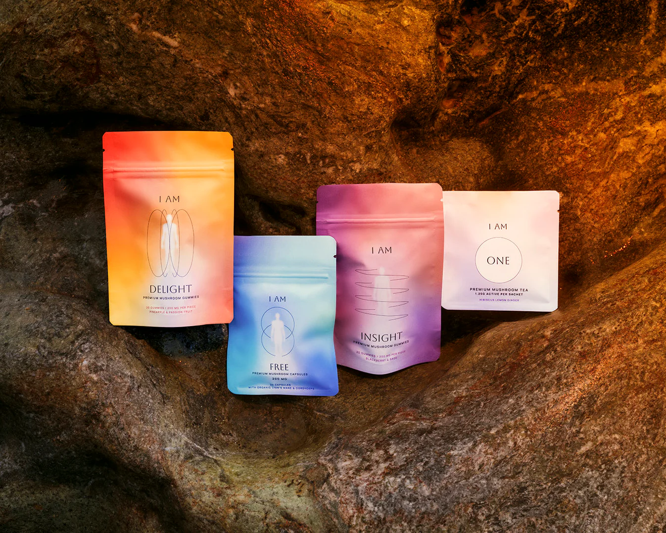 img 0576 cc228a90 569d 4e56 9837 9dfb251c7833